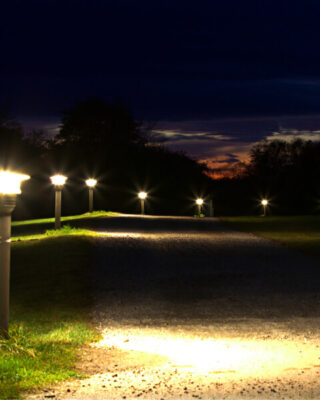 Landscape Lighting