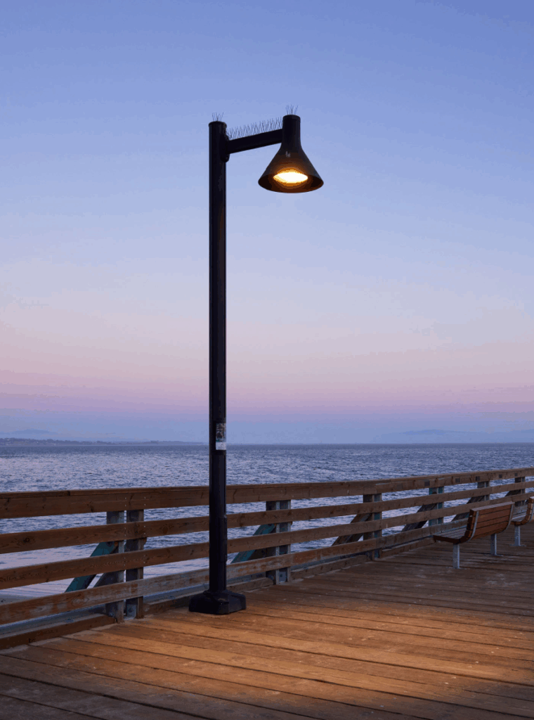 City_Lighting_Pier