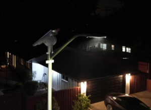 San Bruno predator at night