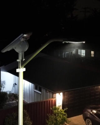 San Bruno predator at night
