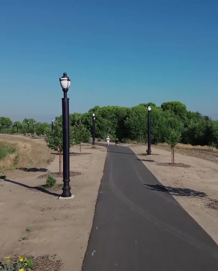 Paved path in a sunny park lined with black lampposts and green trees, with two people walking in the distance.